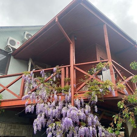 Bed and Breakfast Fkoka Beregovo Exterior foto