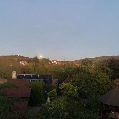 Bed and Breakfast Fkoka Beregovo Exterior foto