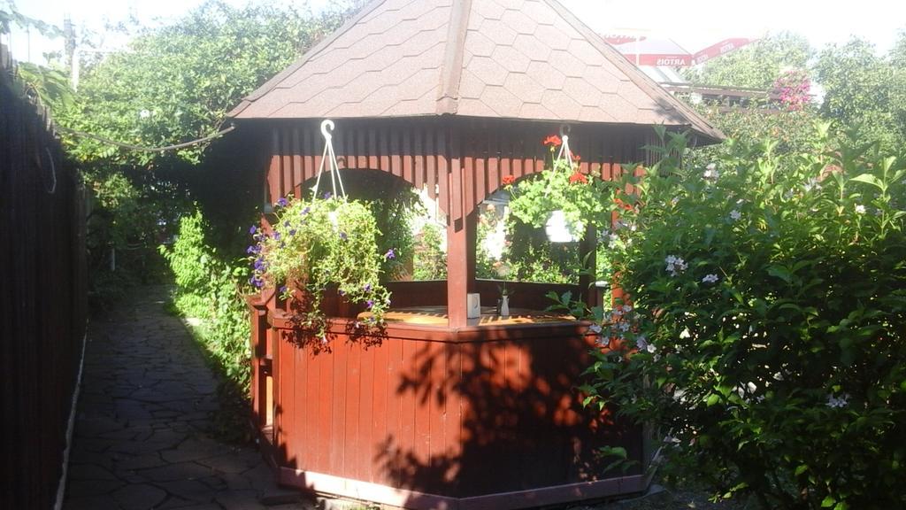Bed and Breakfast Fkoka Beregovo Exterior foto