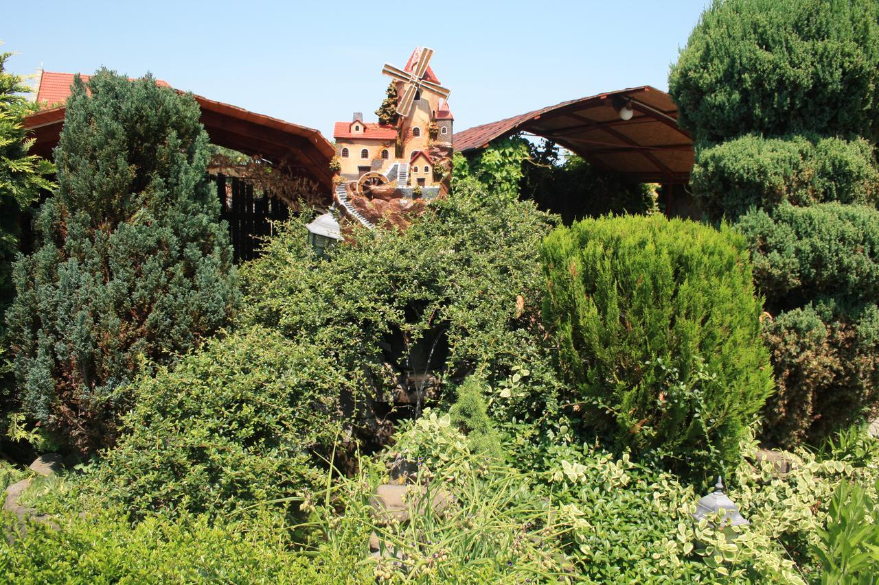 Bed and Breakfast Fkoka Beregovo Exterior foto